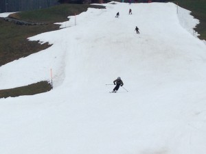 IMG_6358